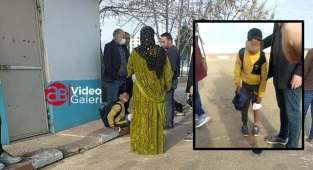 Urfa'da sokak köpekleri 3 çocuğu yaraladı