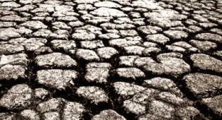 Uzmanından uyarı! Tarımda 2022 yılı çok zor geçecek