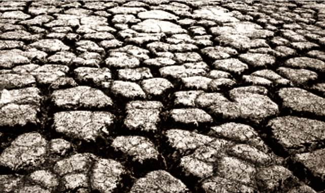 Uzmanından uyarı! Tarımda 2022 yılı çok zor geçecek