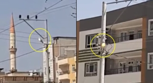 Açık kalan sokak lambaları tepkiye neden oldu