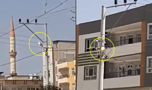 Açık kalan sokak lambaları tepkiye neden oldu