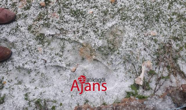 Aniden bastıran dolu yağışı çiftçiyi korkuttu