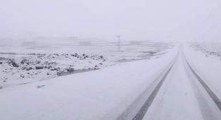 Bu fotoğraf mart ayında Şanlıurfa'da çekildi