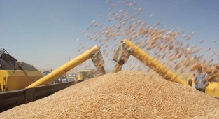 Buğday fiyatları 6 TL'nin üzerine çıktı