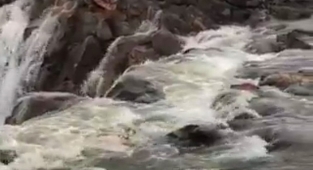 Curcup deresi yeniden yaşam buldu