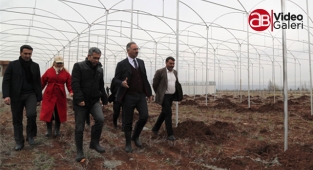 Eyyübiye’nin dev istihdam projesinde çalışmalar sürüyor