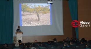 Fıstıkta sararma ve kuruma semineri verildi