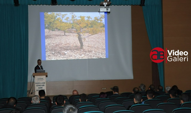Fıstıkta sararma ve kuruma semineri verildi