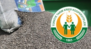 Gübre fiyatlarında son durum