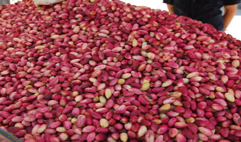 Günlük Antep Fıstığı fiyatları belli oldu