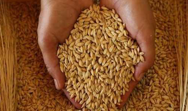 Günlük buğday ve arpa fiyatları açıklandı