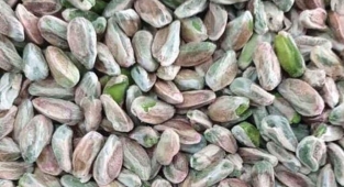 Günlük fıstık fiyatları belli oldu