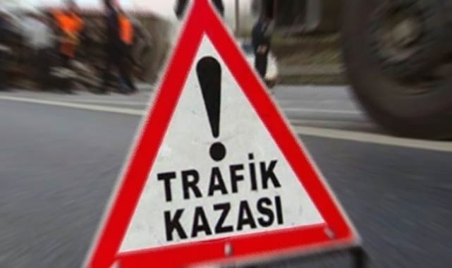 Eyyübiye'de araç refüje çıktı