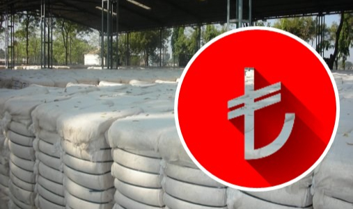 Pamuk fiyatlarında son durum
