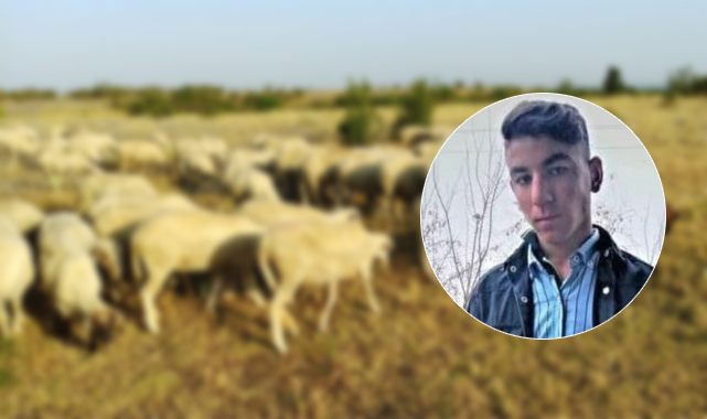 Şanlıurfa’da 16 yaşındaki çocuk ölü bulundu: Barodan açıklama geldi…