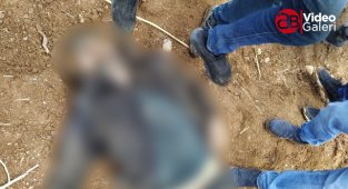 Şanlıurfa'da iki polisi şehit eden şahıs ölü ele geçirildi