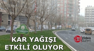 Şanlıurfa'da kar yağışı devam ediyor