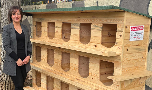 Şanlıurfa'da konser geliri sokak hayvanları için kullanıldı