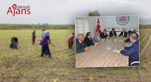 Şanlıurfa'da tarım işçilerinin ücreti belli oldu