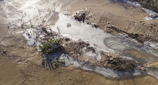 Şanlıurfa dün gece buz tuttu