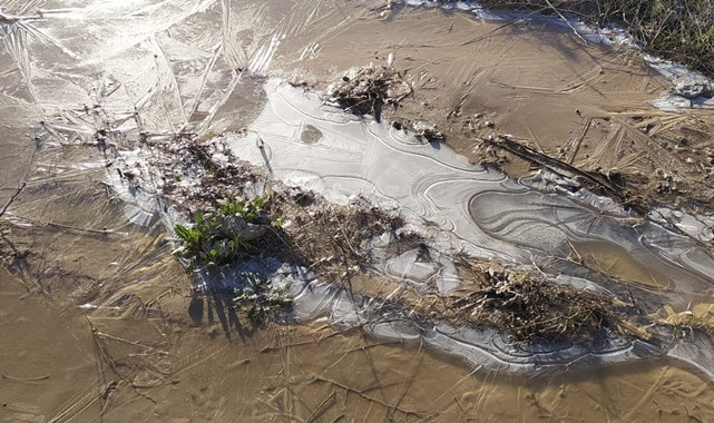 Şanlıurfa dün gece buz tuttu