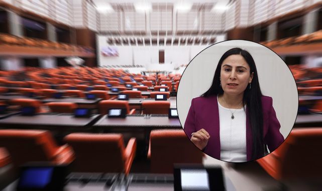 Siverek’te yolu olmayan mahalleler meclise taşındı