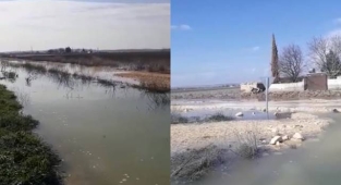 Suruç'ta tehlike giderek büyüyor! Bataklık alanlar çoğalıyor