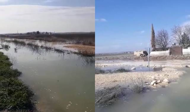 Suruç'ta tehlike giderek büyüyor! Bataklık alanlar çoğalıyor