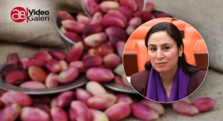 Sürücü: Fıstığın taban fiyatı olmalıdır