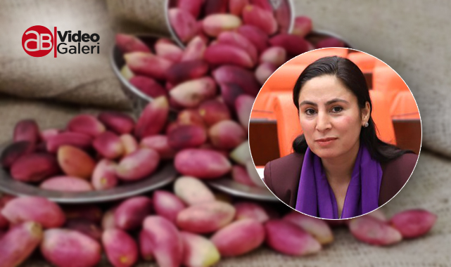 Sürücü: Fıstığın taban fiyatı olmalıdır