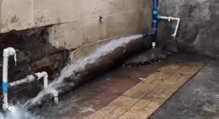 Urfa'da hırsızlar vatandaşın kabusu oldu