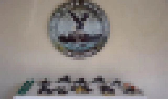 Urfa'da tarihi eser operasyonu