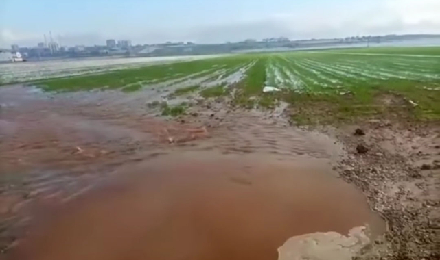 Urfa'nın ilçesinde arıza nedeniyle içme suyu sorunu yaşanıyor