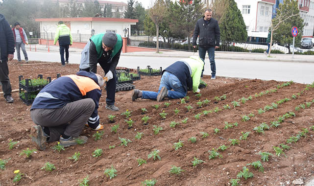 Viranşehir'de bahar hazırlığı