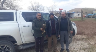 Yaralı halde bulundu, tedavi altına alındı