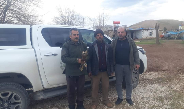 Yaralı halde bulundu, tedavi altına alındı