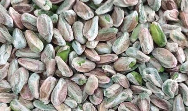 Antep fıstığı fiyatları haftaya nasıl başladı