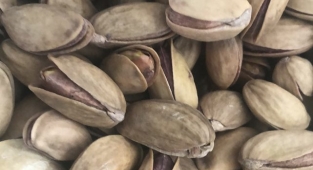 Antep fıstığı günlük fiyat listesi belli oldu