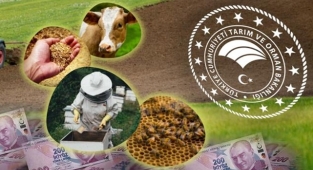 Bakanlık açıkladı: Destek ödemeleri bugün başlıyor