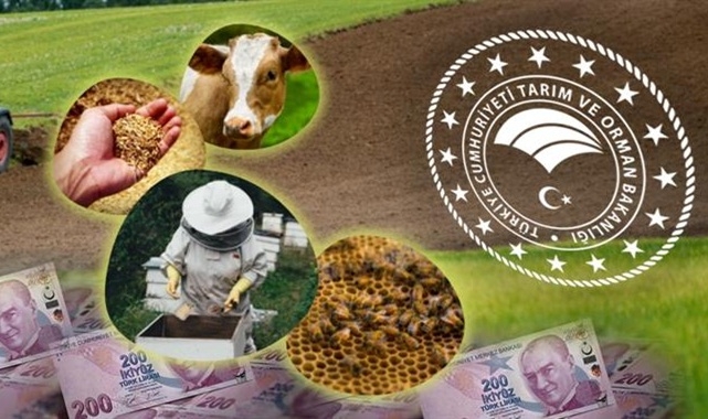 Bakanlık açıkladı: Destek ödemeleri bugün başlıyor