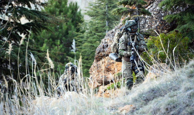 Bakanlık duyurdu: Güvenlik güçlerine teslim oldu