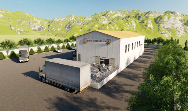 Beyazgül Suruç'ta çalışmaların başladığını duyurdu