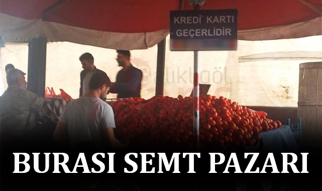 Bu fotoğraf tarımın başkenti Şanlıurfa'dan