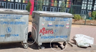 Bu görüntüler Şanlıurfa'da çekildi