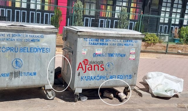 Bu görüntüler Şanlıurfa'da çekildi