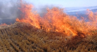 Çiftçiler dikkat! Anız yakmanın zararları