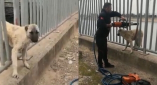 DSİ kanalında mahsur kalınca itfaiye seferber oldu