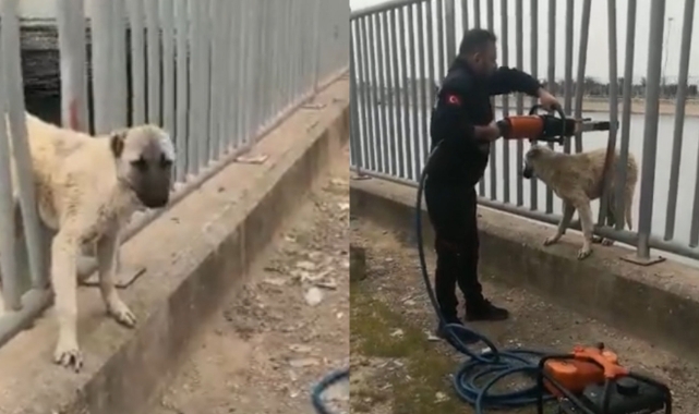 DSİ kanalında mahsur kalınca itfaiye seferber oldu