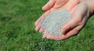 Gübreye dev zam! İşte güncel fiyat