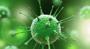 Güncel koronavirüs verileri açıklandı